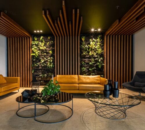 lissete-laverde-7jOeRc0dOWs-unsplash